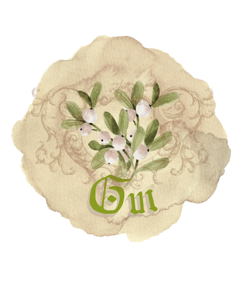 Bougie médiévale parfum Gui
