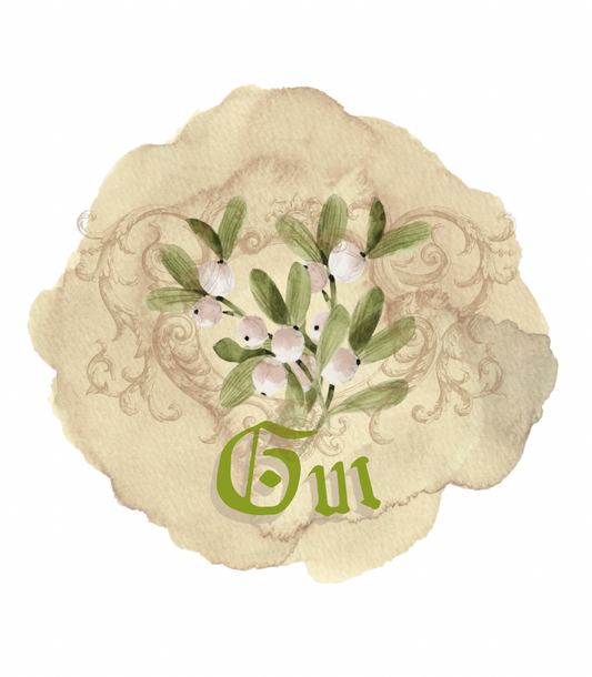 Bougie médiévale parfum Gui