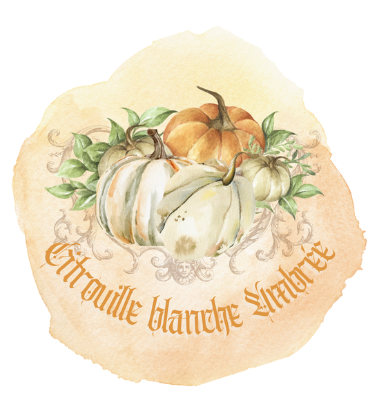 Fondant parfum Citrouille blanche Ambrée